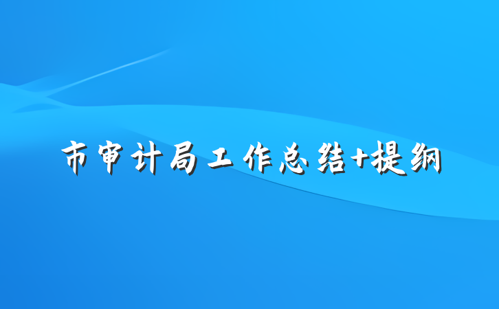 市审计局工作总结 提纲
