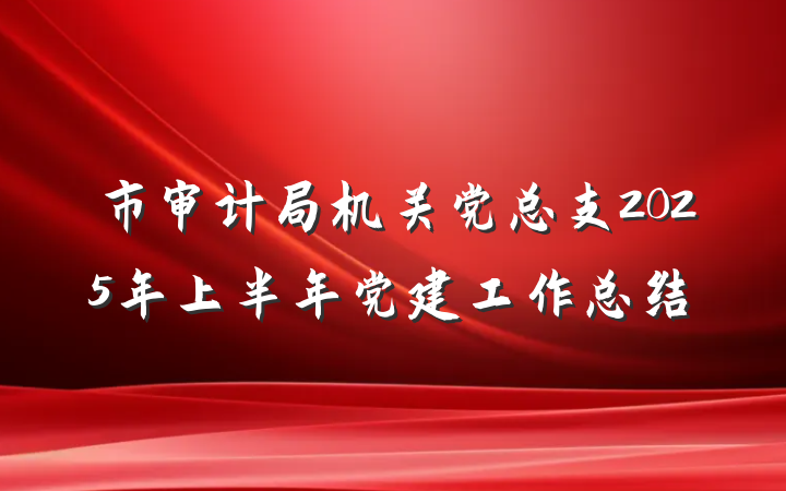 市审计局机关党总支2025年上半年党建工作总结