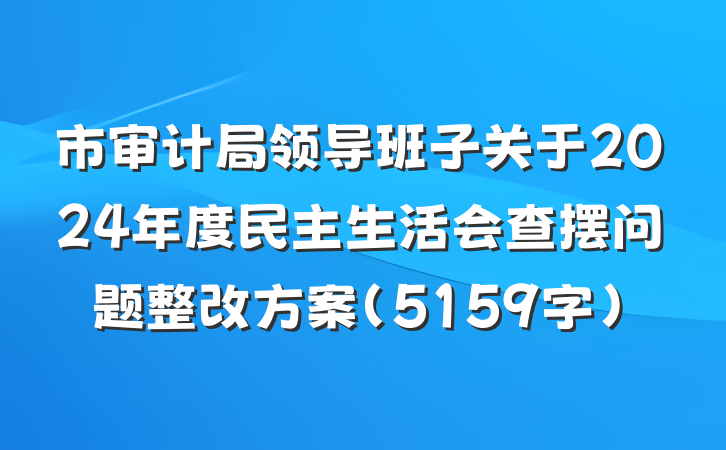 市审计局领导班子关于2024年度民主生活会查摆问题整改方案（5159字）