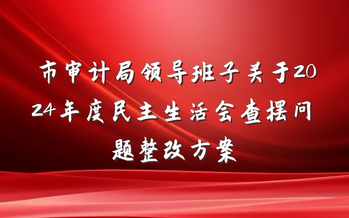 市审计局领导班子关于2024年度民主生活会查摆问题整改方案