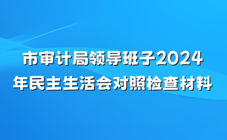 市审计局领导班子2024年民主生活会对照检查材料