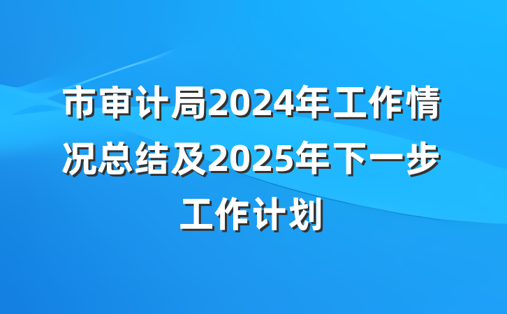 市审计局2024年工作情况总结及2025年下一步工作计划