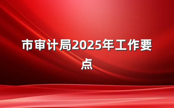 市审计局2025年工作要点