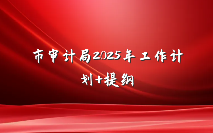 市审计局2025年工作计划 提纲
