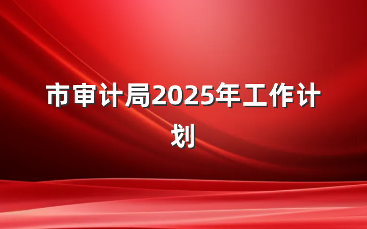 市审计局2025年工作计划