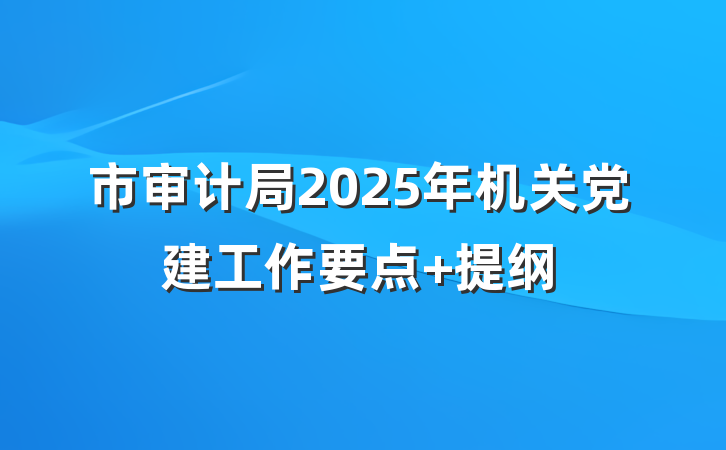 市审计局2025年机关党建工作要点 提纲