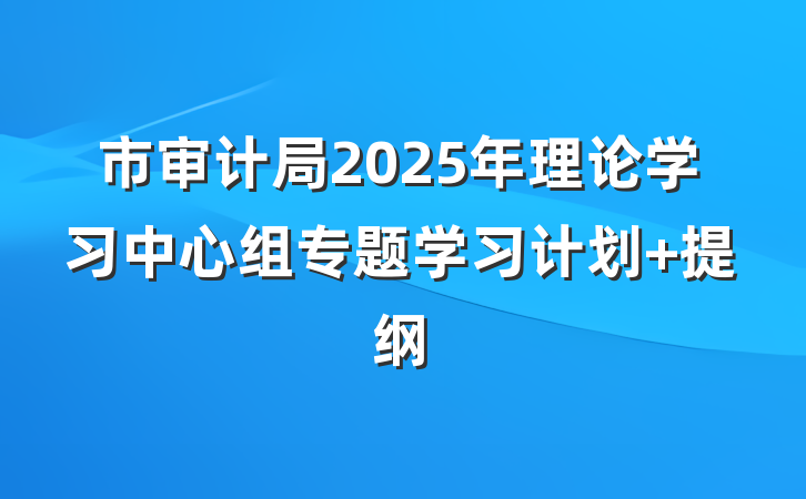 市审计局2025年理论学习中心组专题学习计划 提纲
