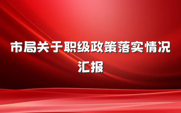 市局关于职级政策落实情况汇报