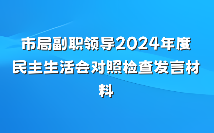 市局副职领导2024年度民主生活会对照检查发言材料