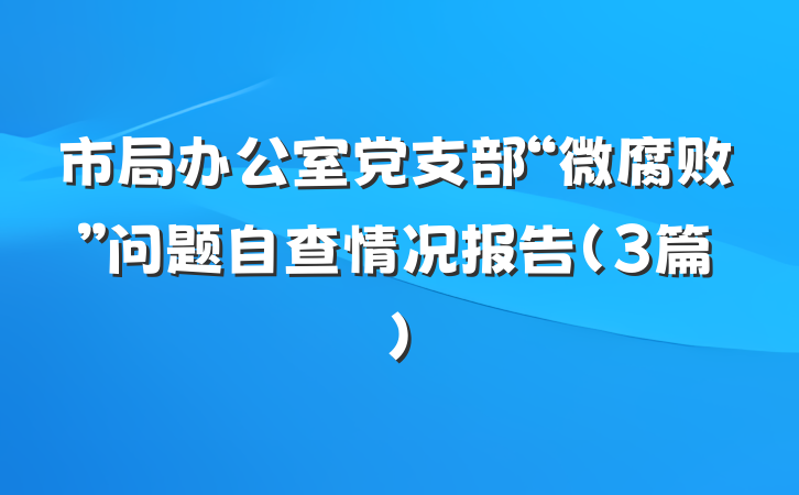 市局办公室党支部“微腐败”问题自查情况报告（3篇）