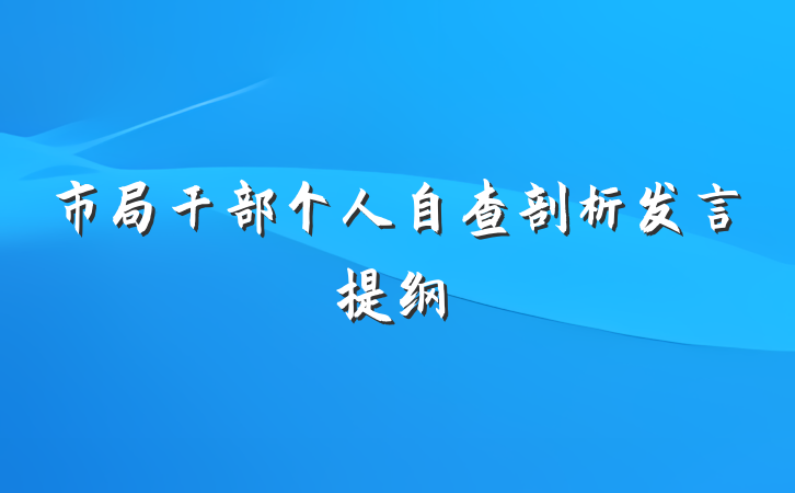 市局干部个人自查剖析发言提纲