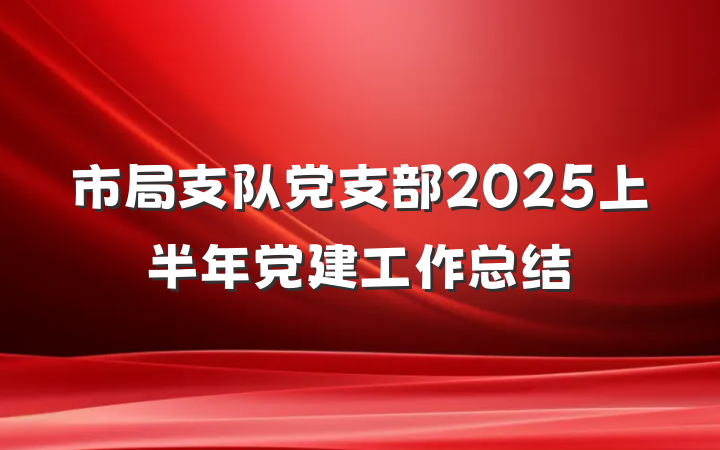 市局支队党支部2025上半年党建工作总结