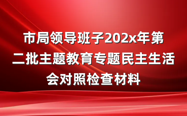 市局领导班子202x年第二批主题教育专题民主生活会对照检查材料
