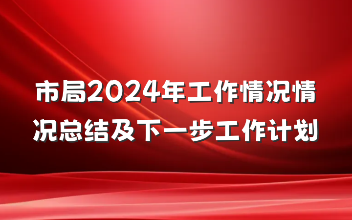 市局2024年工作情况情况总结及下一步工作计划