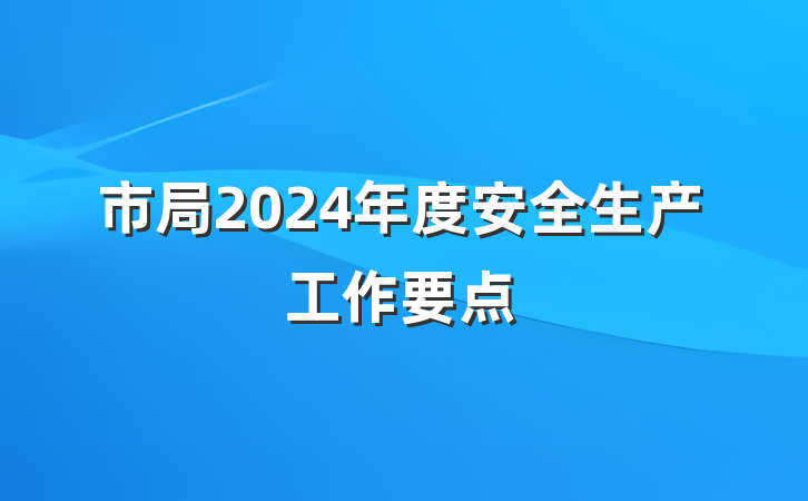 市局2024年度安全生产工作要点