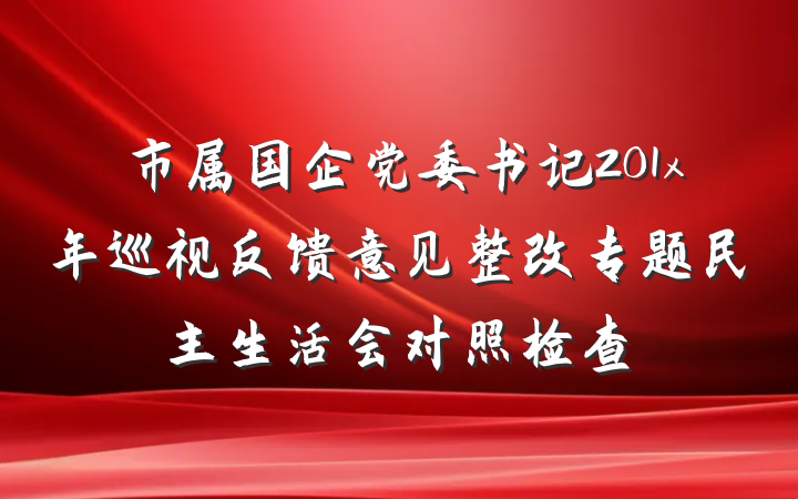市属国企党委书记201x年巡视反馈意见整改专题民主生活会对照检查