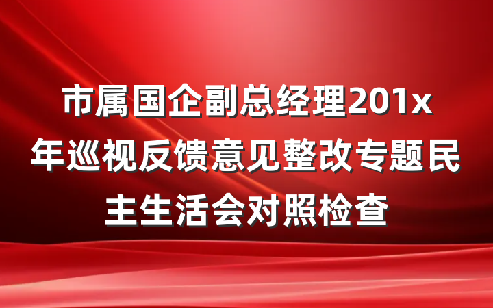 市属国企副总经理201x年巡视反馈意见整改专题民主生活会对照检查