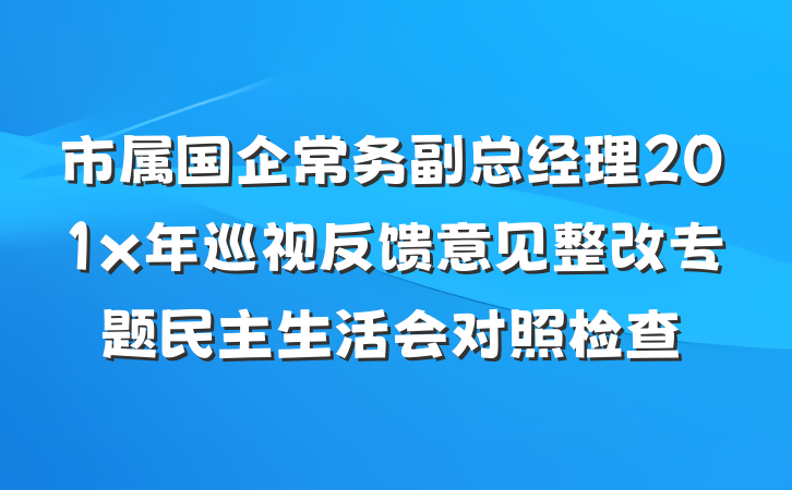 市属国企常务副总经理201x年巡视反馈意见整改专题民主生活会对照检查