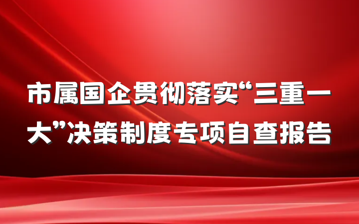 市属国企贯彻落实“三重一大”决策制度专项自查报告