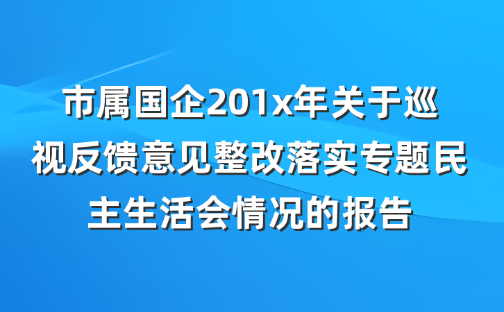 市属国企201x年关于巡视反馈意见整改落实专题民主生活会情况的报告
