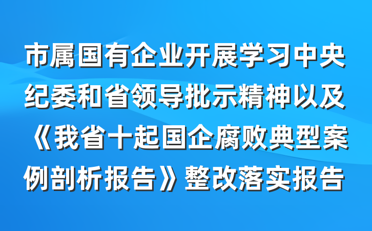 市属国有企业开展学习中央纪委和省领导批示精神以及《我省十起国企腐败典型案例剖析报告》整改落实报告