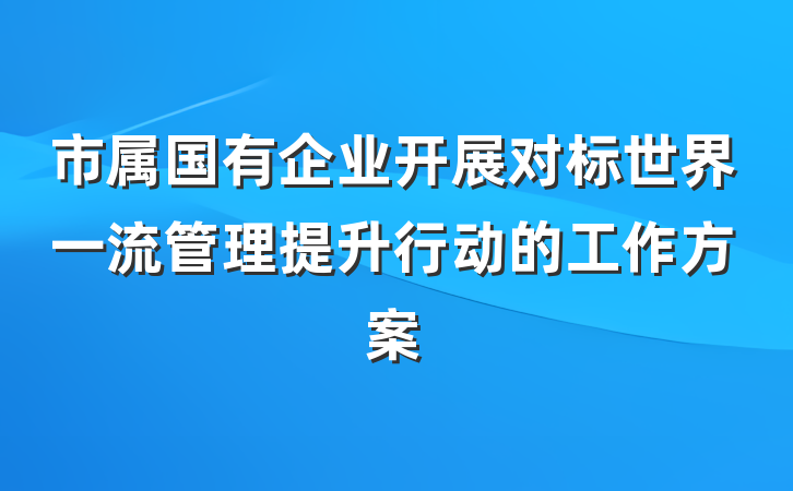 市属国有企业开展对标世界一流管理提升行动的工作方案