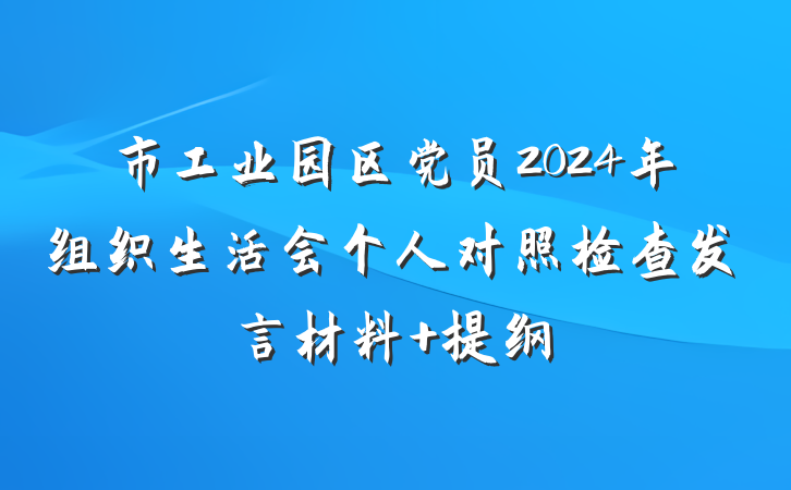 市工业园区党员2024年组织生活会个人对照检查发言材料 提纲