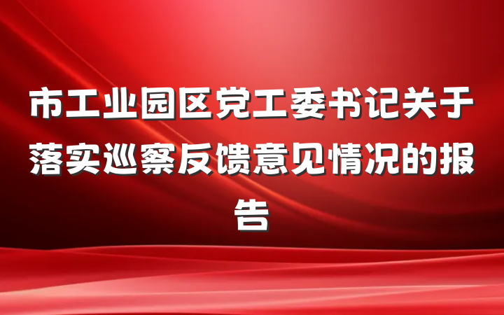 市工业园区党工委书记关于落实巡察反馈意见情况的报告