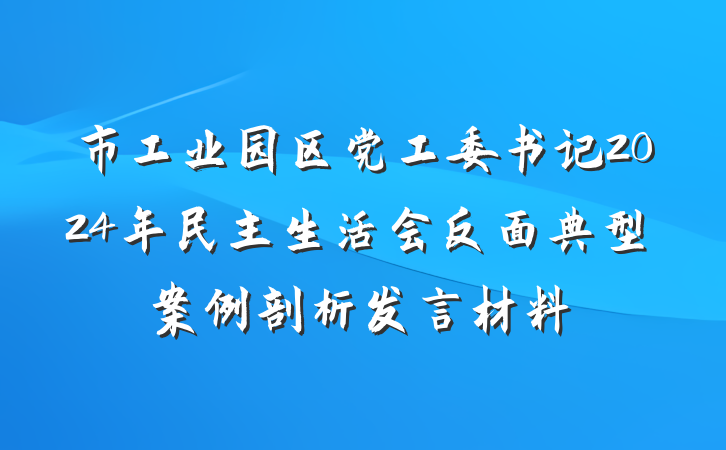 市工业园区党工委书记2024年民主生活会反面典型案例剖析发言材料