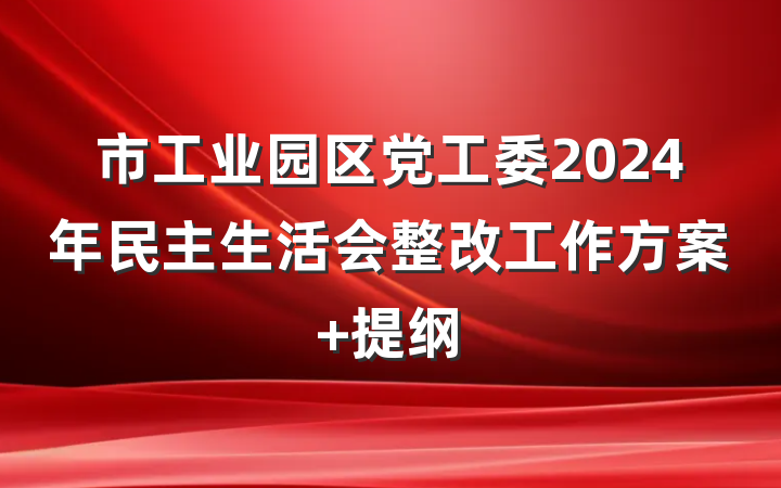 市工业园区党工委2024年民主生活会整改工作方案 提纲