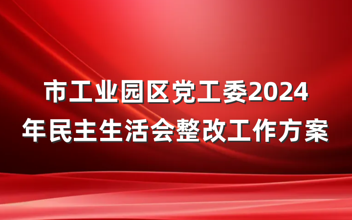 市工业园区党工委2024年民主生活会整改工作方案