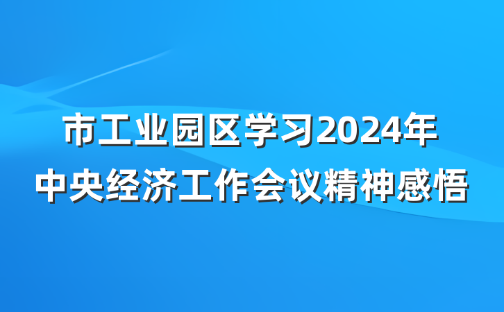 市工业园区学习2024年中央经济工作会议精神感悟