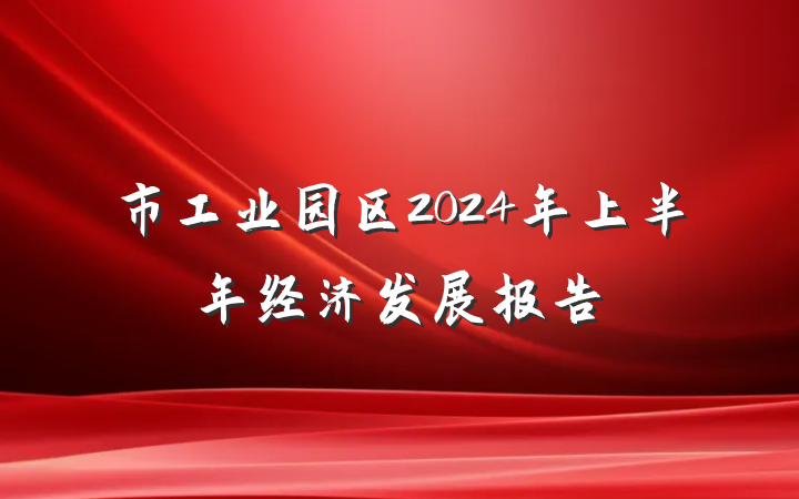 市工业园区2024年上半年经济发展报告