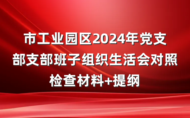 市工业园区2024年党支部支部班子组织生活会对照检查材料 提纲