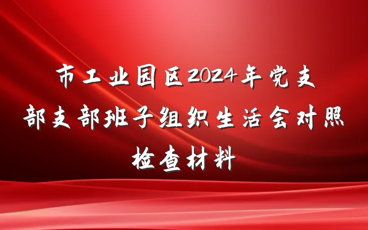 市工业园区2024年党支部支部班子组织生活会对照检查材料