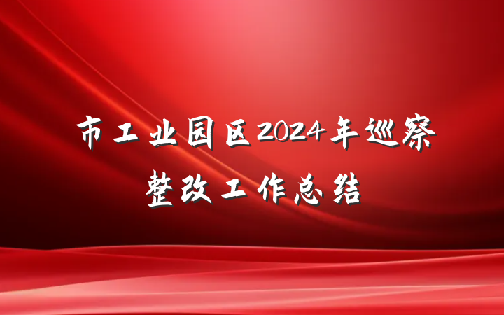 市工业园区2024年巡察整改工作总结
