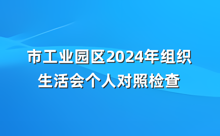 市工业园区2024年组织生活会个人对照检查