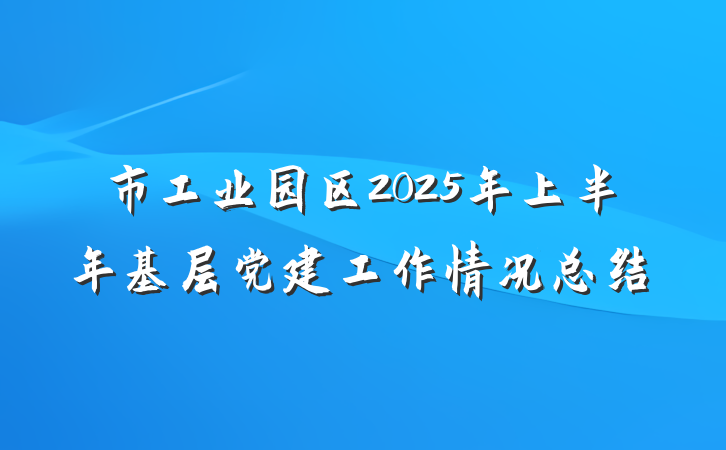 市工业园区2025年上半年基层党建工作情况总结