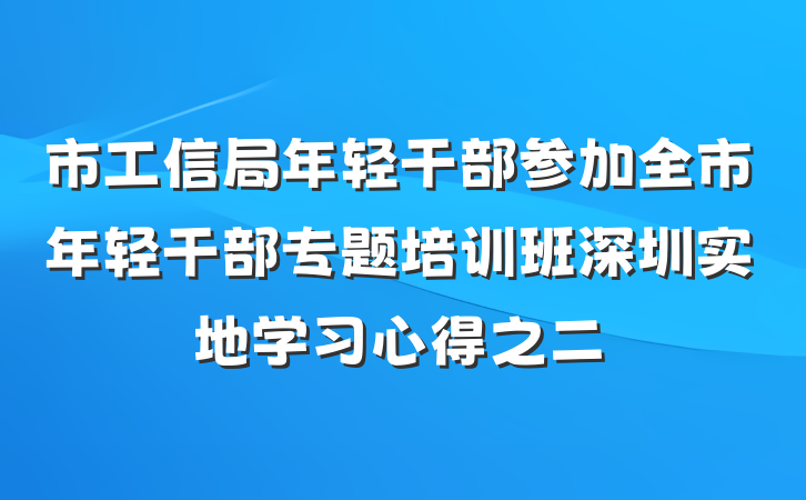 市工信局年轻干部参加全市年轻干部专题培训班深圳实地学习心得之二