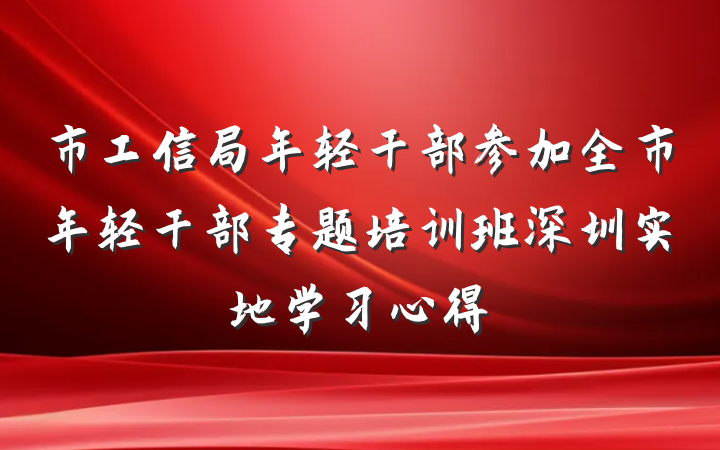 市工信局年轻干部参加全市年轻干部专题培训班深圳实地学习心得