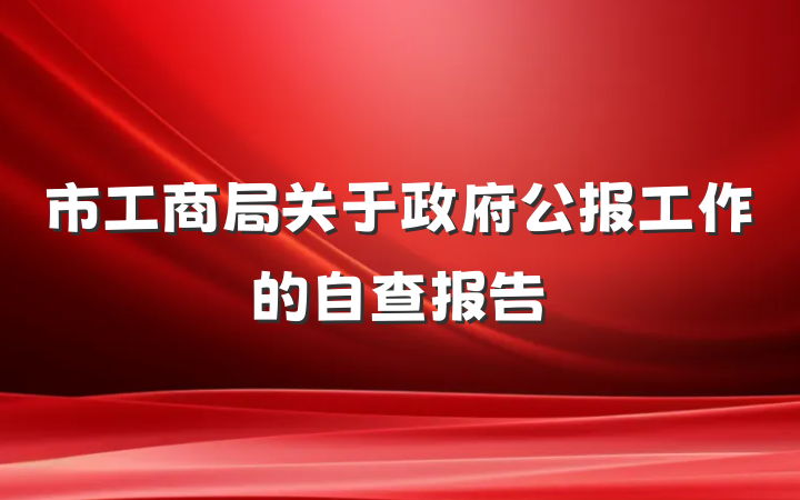 市工商局关于政府公报工作的自查报告