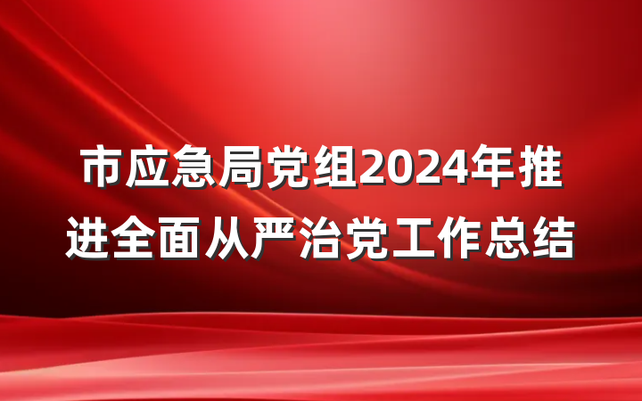 市应急局党组2024年推进全面从严治党工作总结