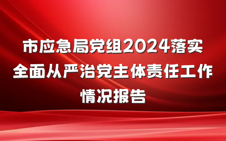 市应急局党组2024落实全面从严治党主体责任工作情况报告