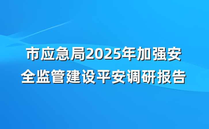 市应急局2025年加强安全监管建设平安调研报告