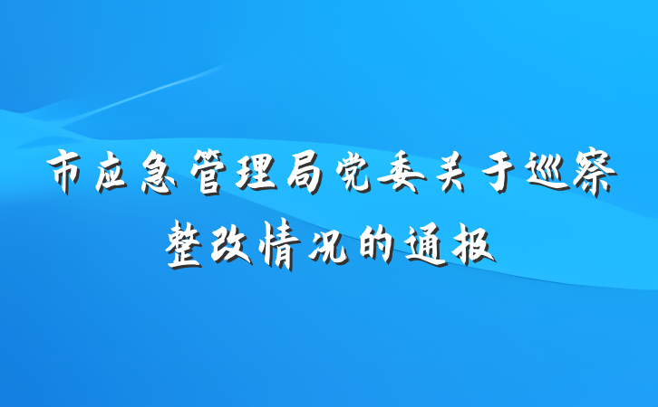 市应急管理局党委关于巡察整改情况的通报