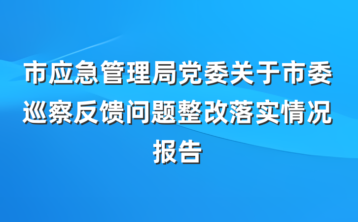 市应急管理局党委关于市委巡察反馈问题整改落实情况报告