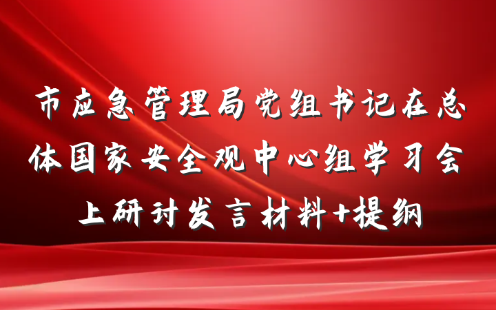 市应急管理局党组书记在总体国家安全观中心组学习会上研讨发言材料 提纲