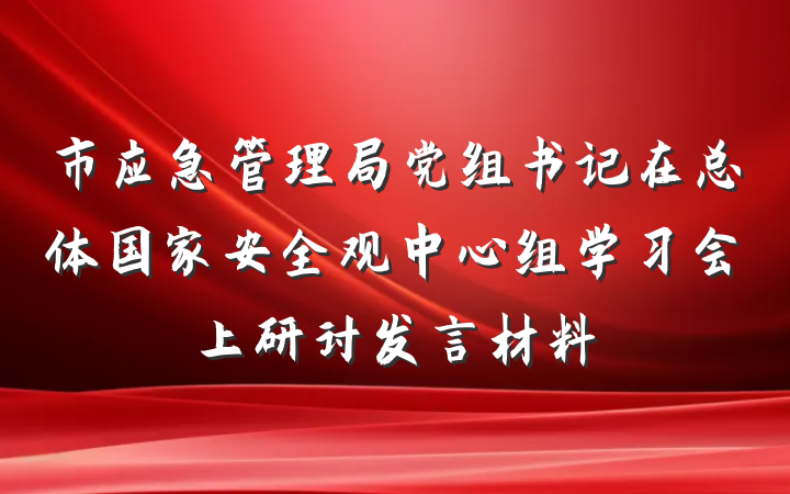 市应急管理局党组书记在总体国家安全观中心组学习会上研讨发言材料