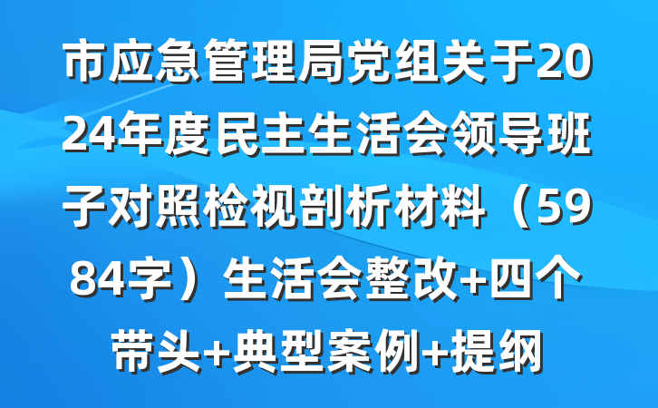 市应急管理局党组关于2024年度民主生活会领导班子对照检视剖析材料（5984字）生活会整改 四个带头 典型案例 提纲
