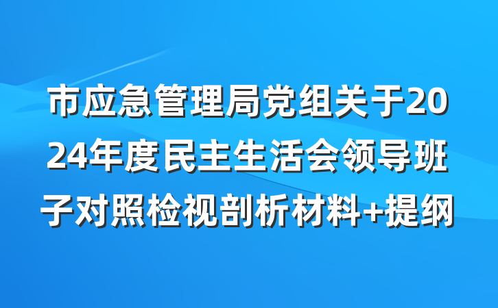 市应急管理局党组关于2024年度民主生活会领导班子对照检视剖析材料 提纲